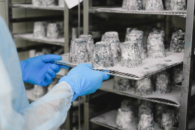 Pengawetan Makanan dengan Suhu Tinggi