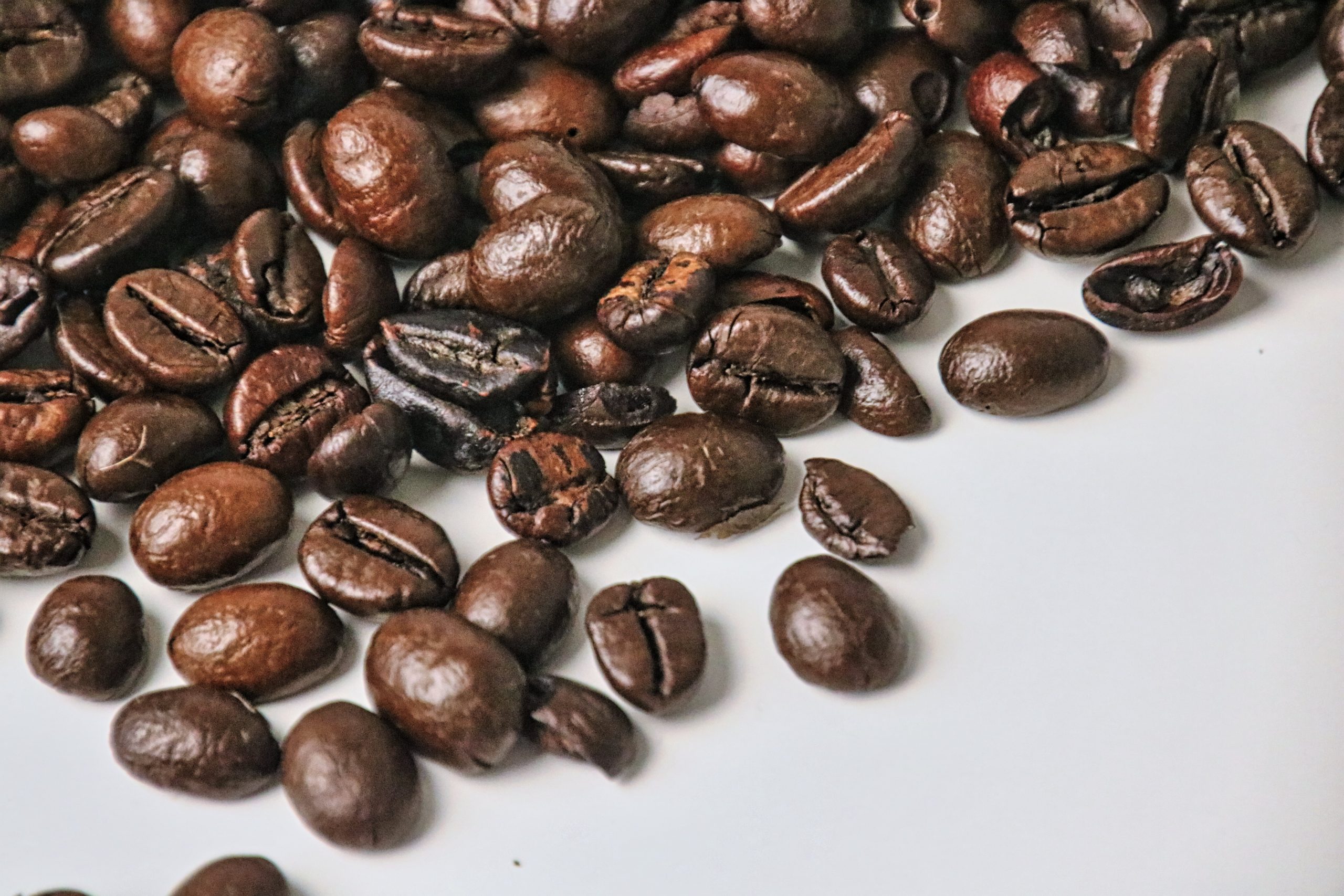 Kopi Robusta Terbaik
