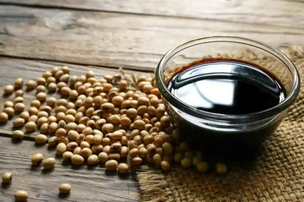 cara membuat kecap kedelai