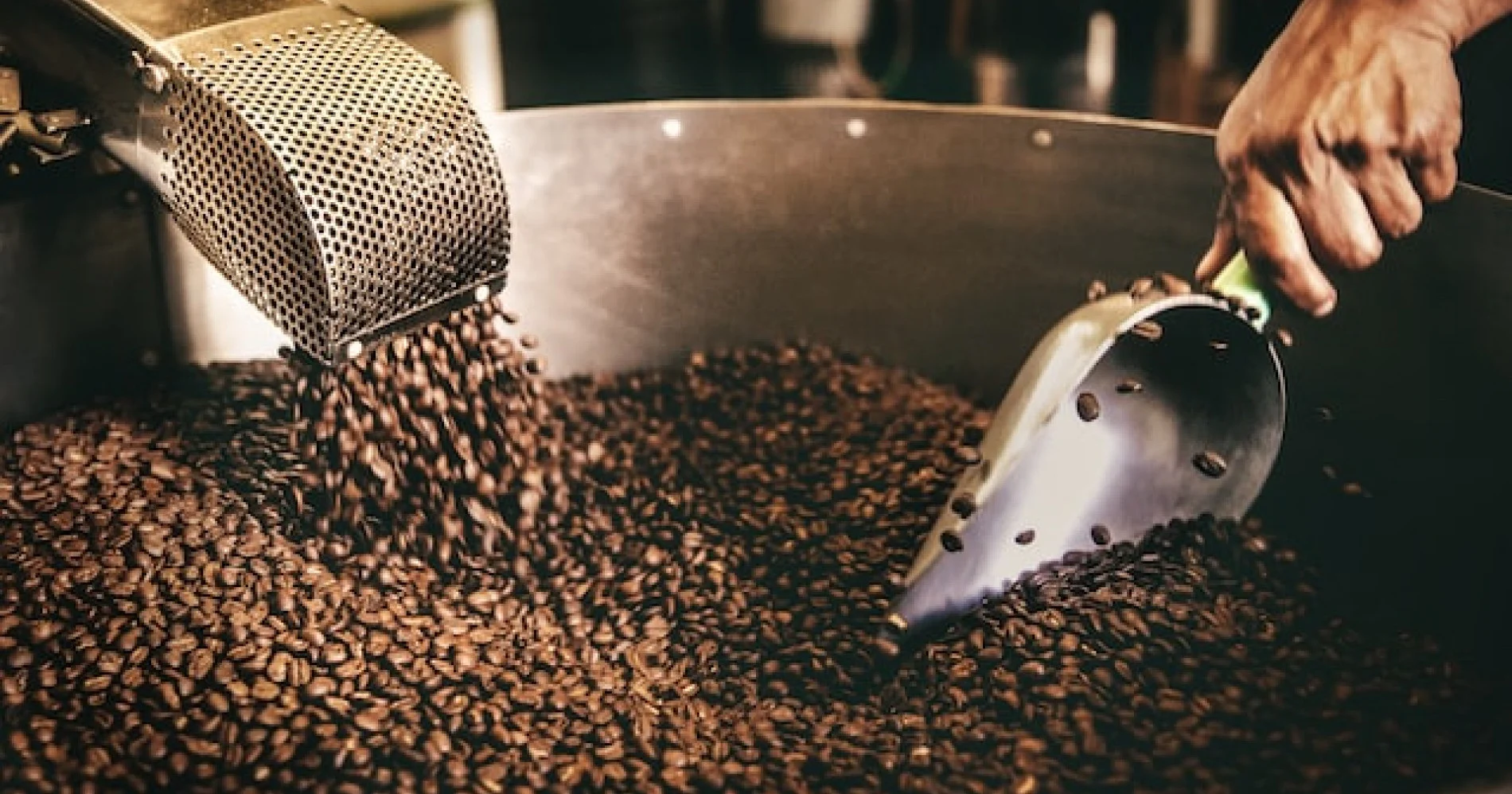 Teknologi Penyortiran Kopi Modern untuk Industri