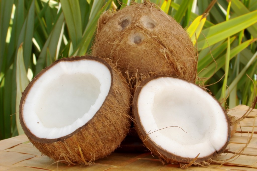 usaha kelapa rumahan modal kecil