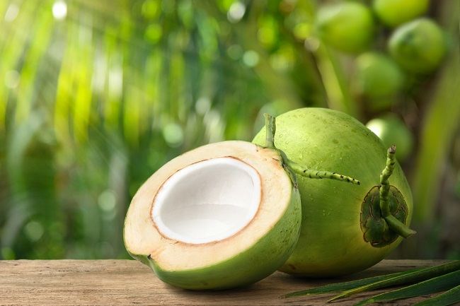 usaha olahan kelapa menarik