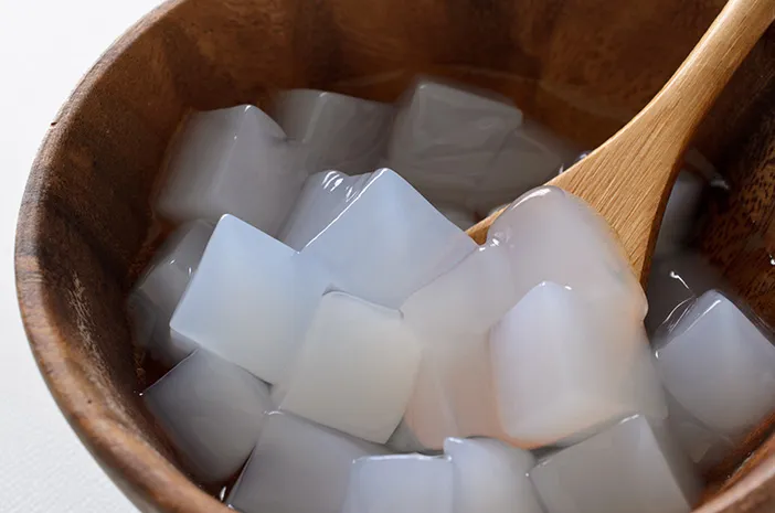 Usaha Nata De Coco Praktis