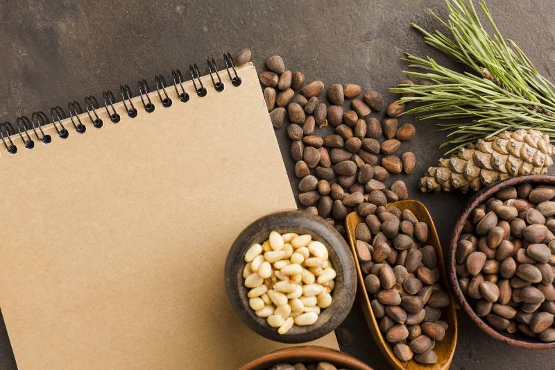 Panduan Lengkap Pengolahan Kopi Pasca Panen