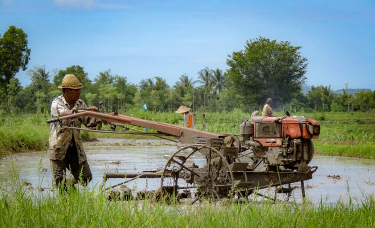 cara menggemburkan lahan dengan cepat