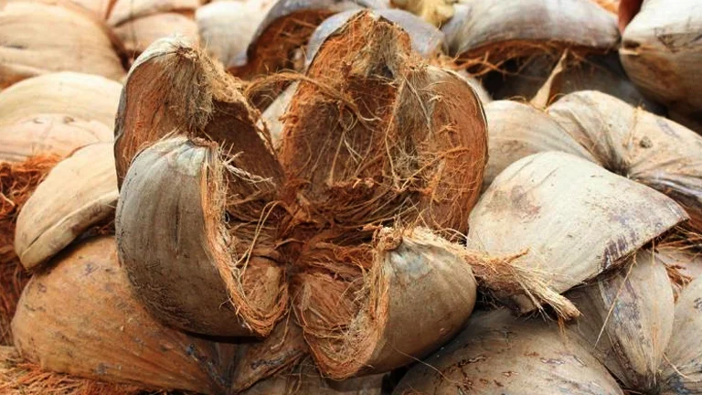 manfaat pemasaran sabut kelapa