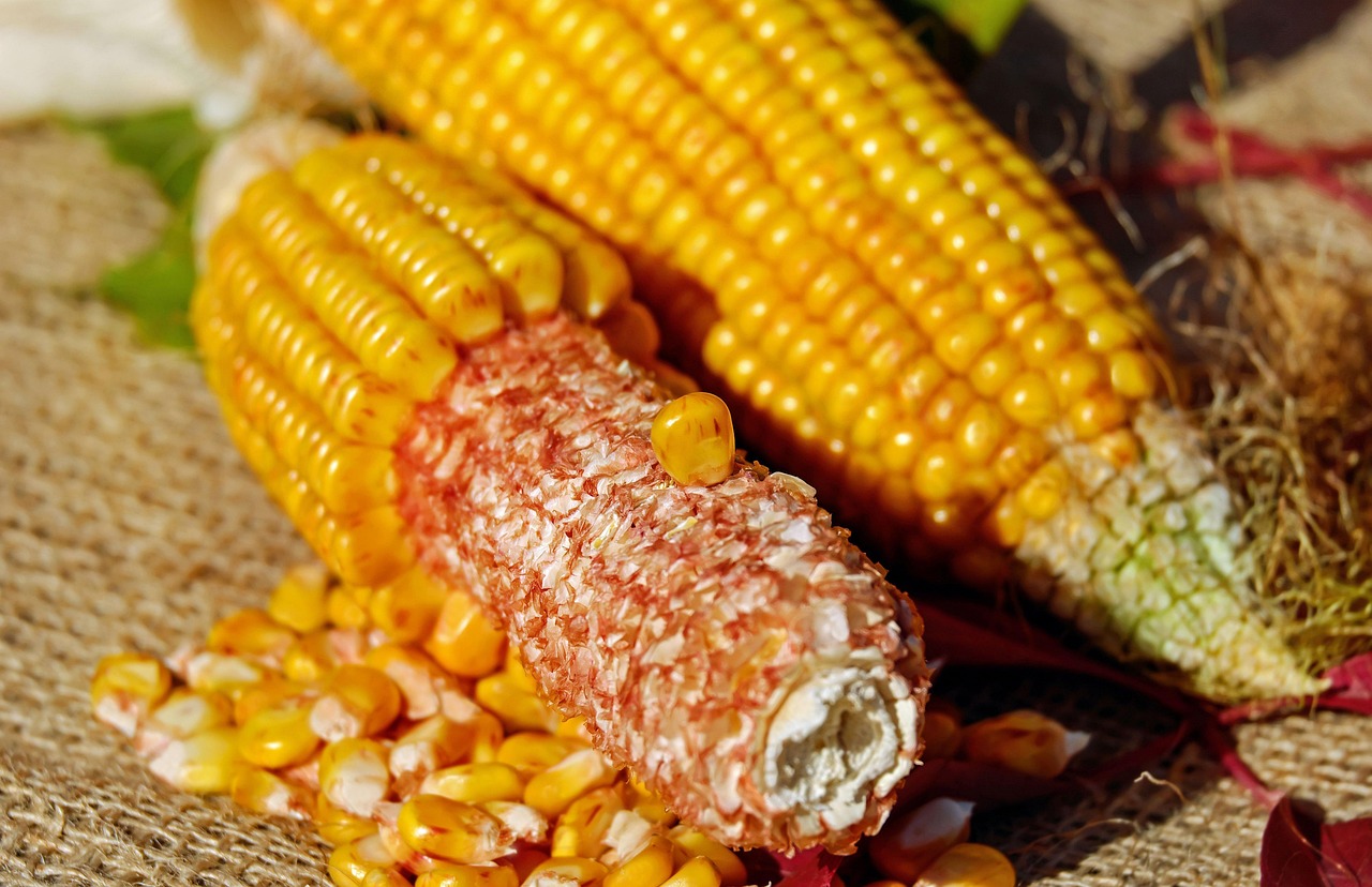 nilai jual hasil jagung