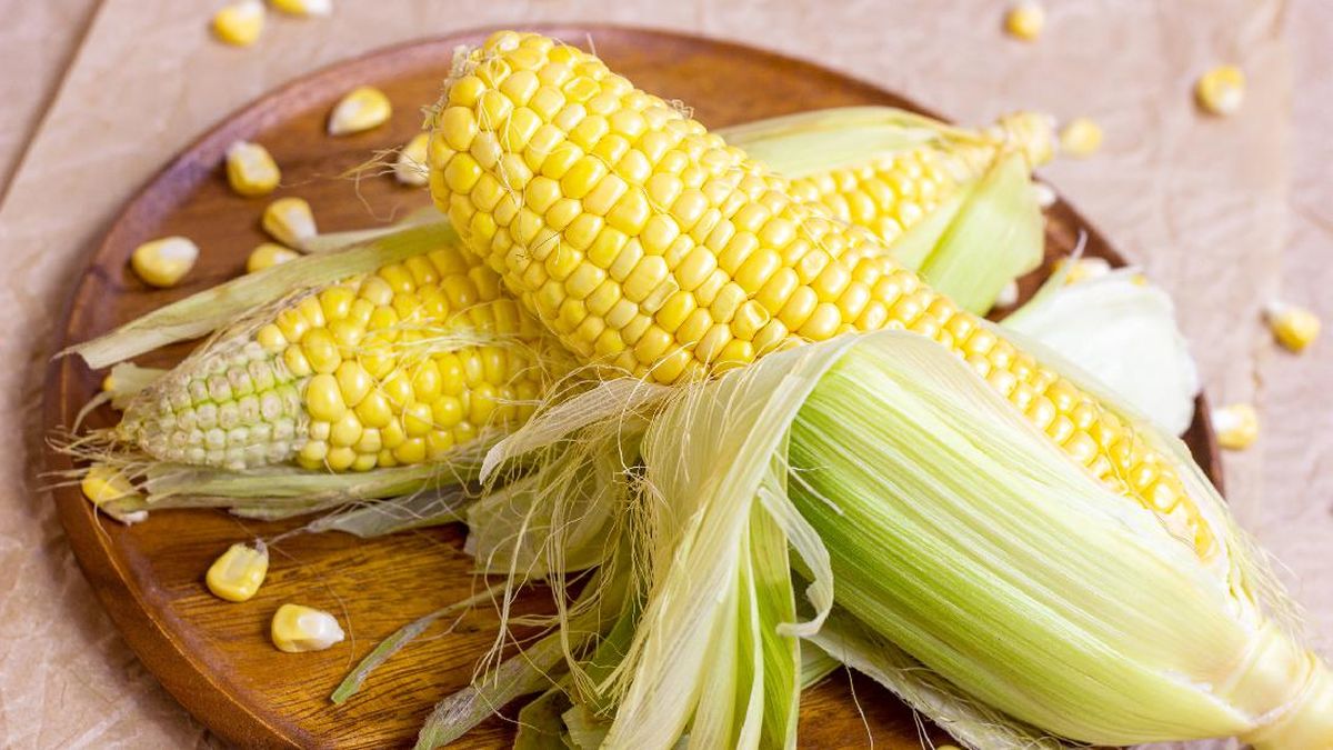 produksi jagung pipil