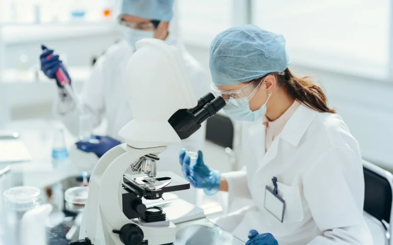 standar mikrobiologi mbg