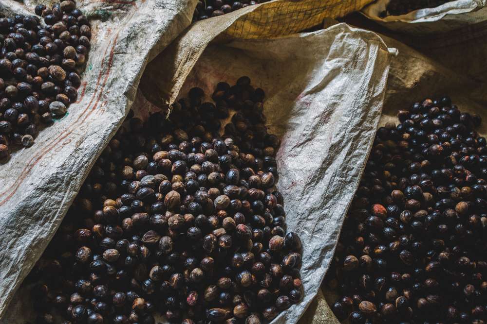 Cara Operasikan Mesin Pemecah Kopi