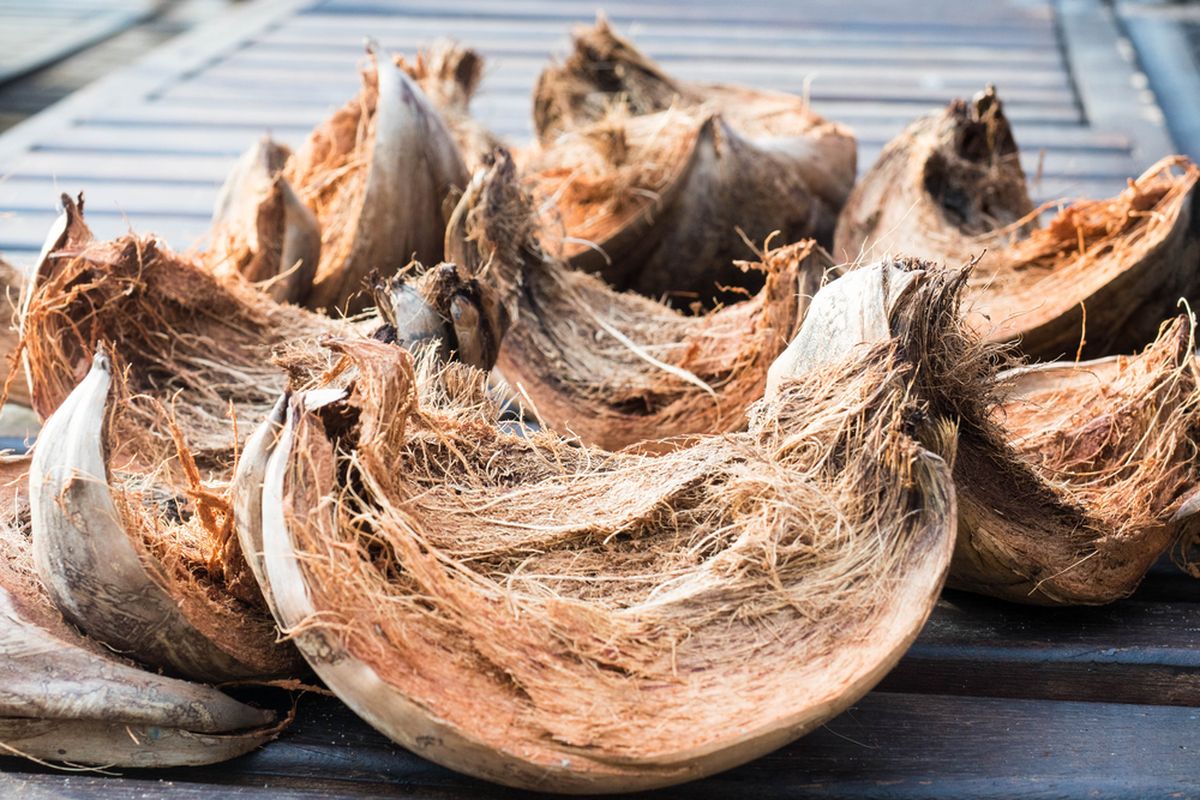 Peluang Usaha Dari Sabut Kelapa