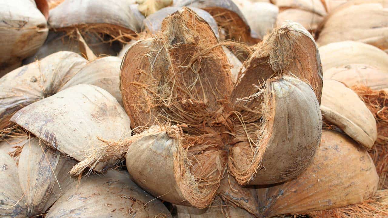 Usaha Cocofiber Skala Rumahan
