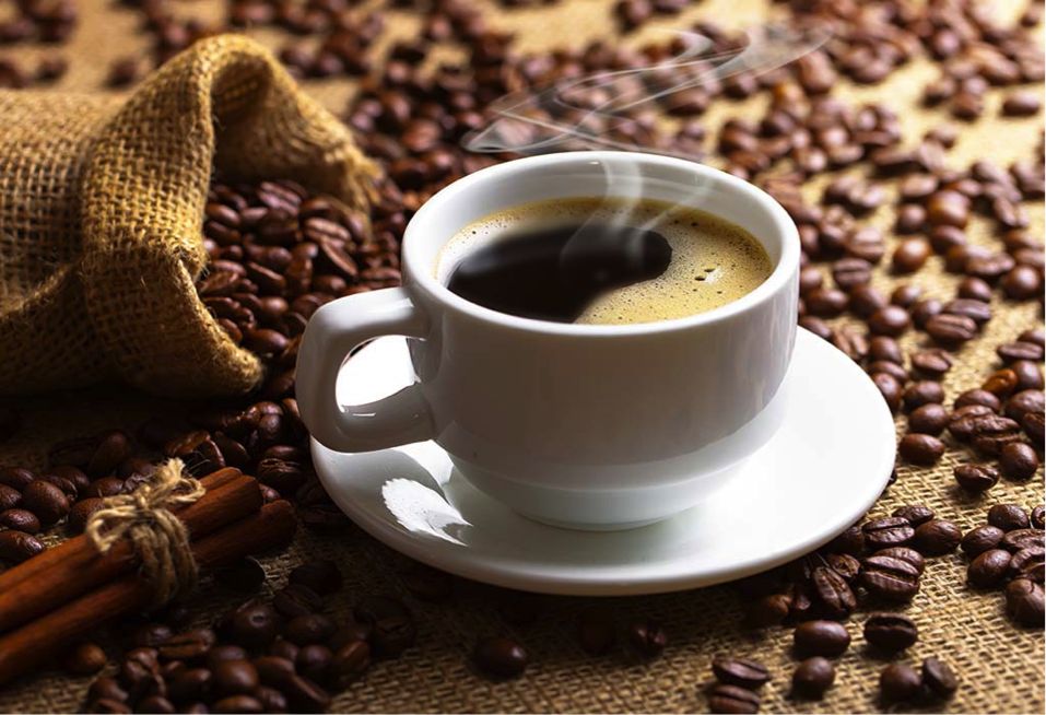 Sistem Usaha Pengolahan Kopi