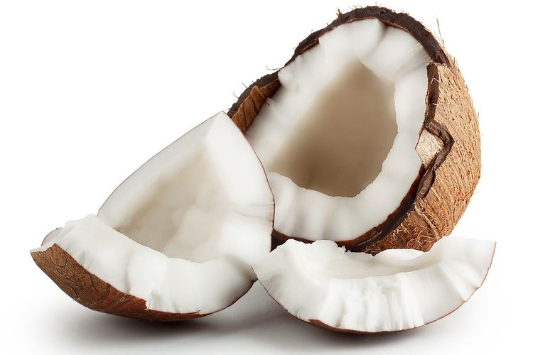 Pengolahan Kelapa Skala Industri