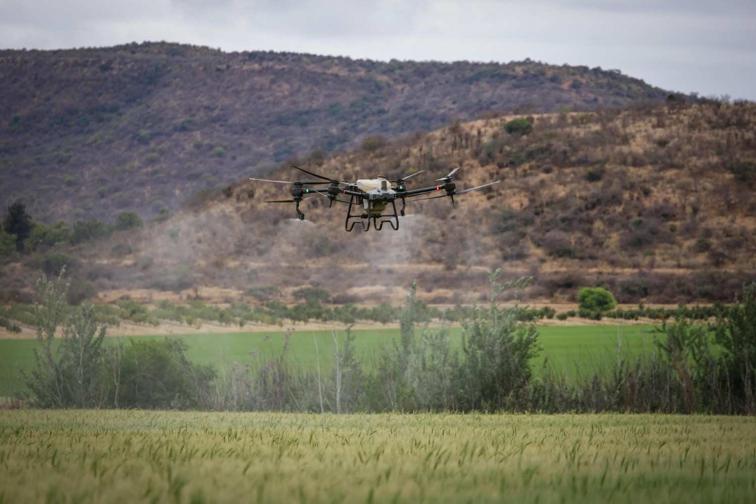 cara memilih drone sprayer pertanian