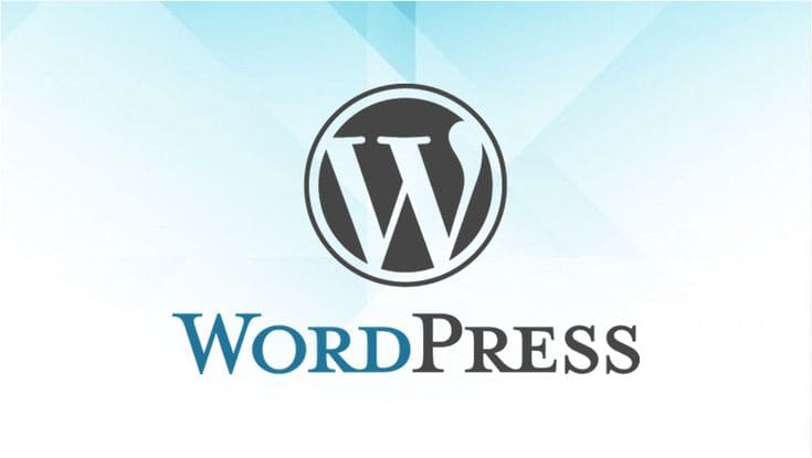 Cara Meningkatkan Performa WordPress