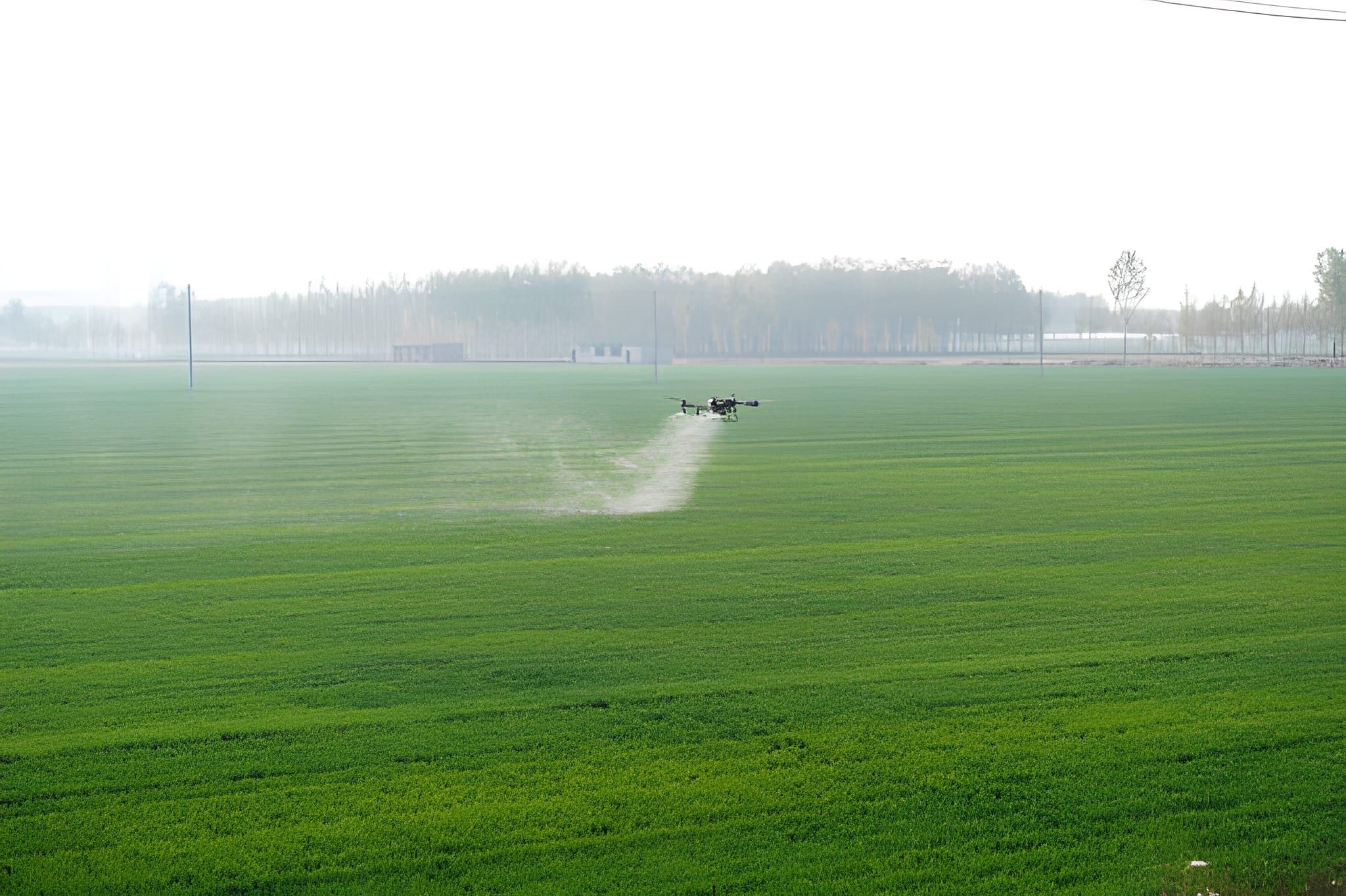 drone sprayer untuk lahan luas