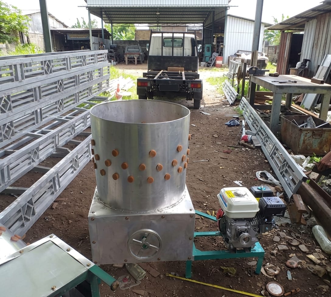 cara mempercepat perontokan ayam