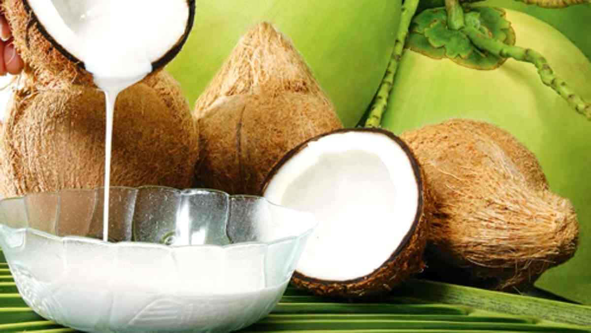 mesin pemeras santan untuk produksi makanan