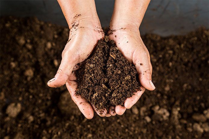 cara memadatkan cocopeat untuk kemasan